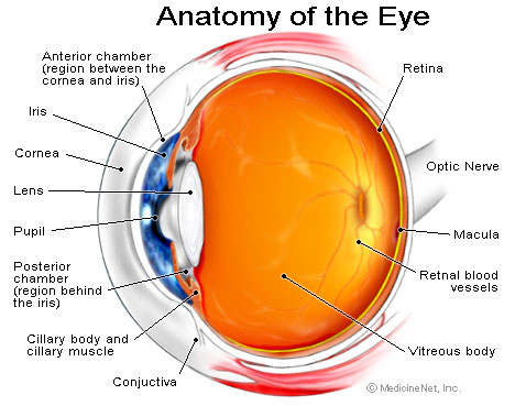 Click Image to ZOOM
