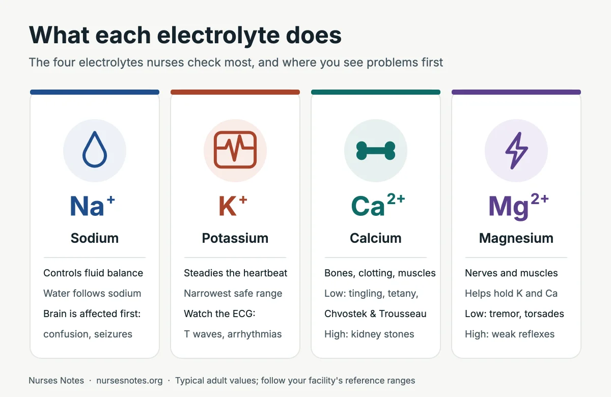 Diagram of what each electrolyte does: sodium controls fluid balance, potassium steadies the heartbeat, calcium supports bones, clotting and muscles, magnesium supports nerves and muscles